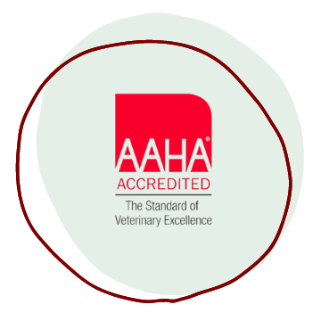 AAHA logo inside hand-drawn frame